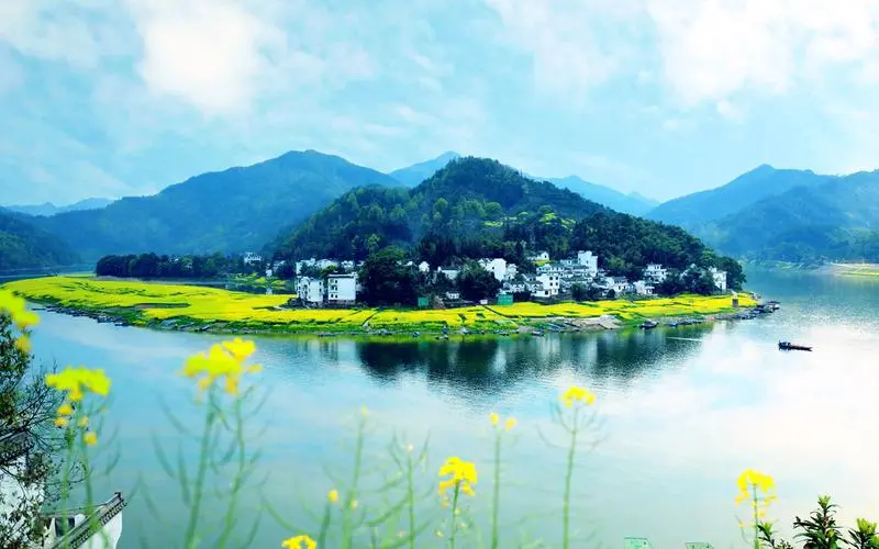 创新稳定性